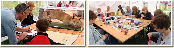 Drawing animals and textile basketry