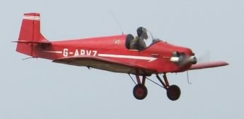 Turbulent Tiger Cub
