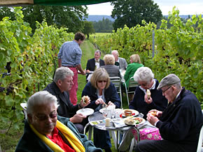 Picnic amongst the vines