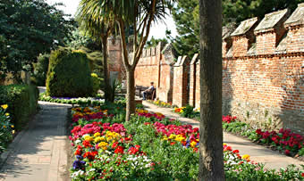 Flower garden.