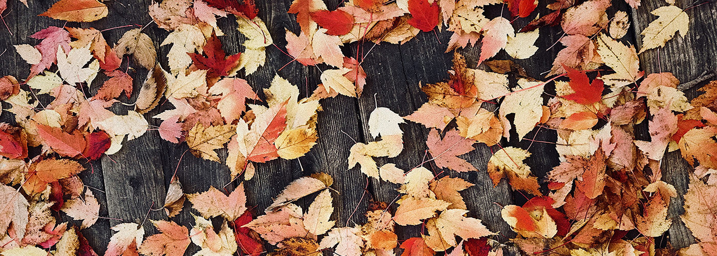 October Holiday