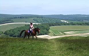 South Downs