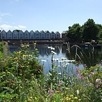 Chichester Canal